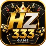 HZ333 Game