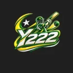Y222 Game